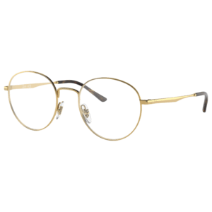 Ray-Ban RB 3681V 2500