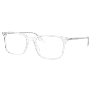Ray-Ban RB 5421 2001