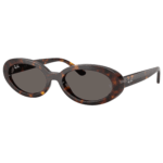 Ray-Ban RB 2223 902/B1
